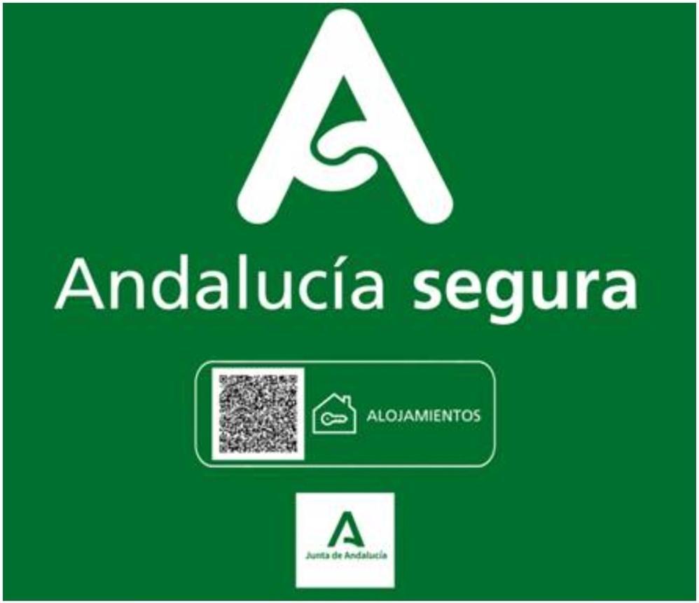 סיירה נבדה Todosierranevada Zona Baja - Apartamentos De 4 Dormitorios - Junto A Los Telecabinas מראה חיצוני תמונה